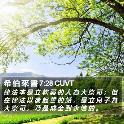 希 伯 來 書 7:28 CUVT Bible Verse Image