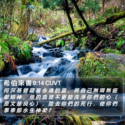 希 伯 來 書 9:14 CUVT Bible Verse Image