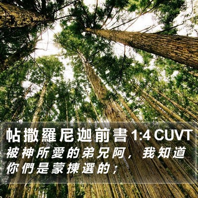 帖 撒 羅 尼 迦 前 書 1:4 CUVT Bible Verse Image