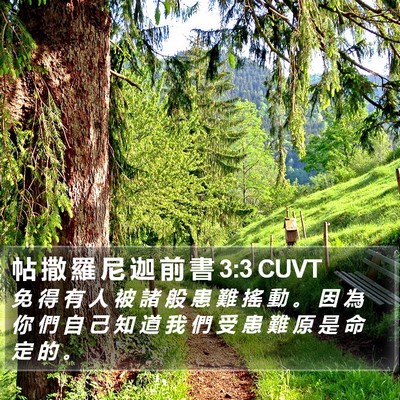 帖 撒 羅 尼 迦 前 書 3:3 CUVT Bible Verse Image
