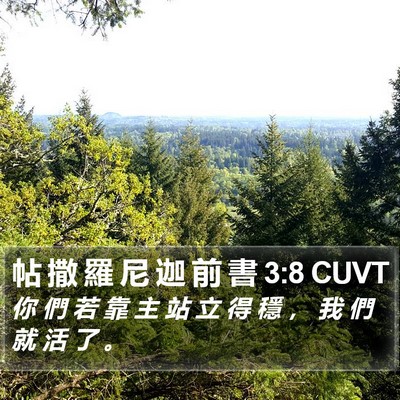 帖 撒 羅 尼 迦 前 書 3:8 CUVT Bible Verse Image