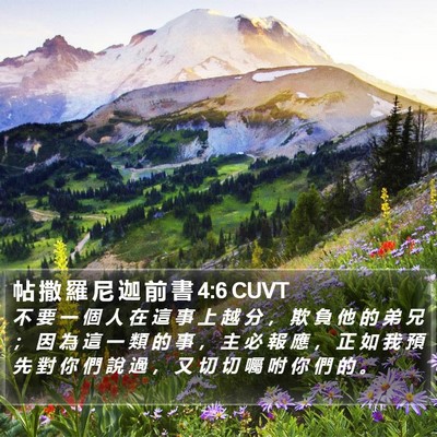 帖 撒 羅 尼 迦 前 書 4:6 CUVT Bible Verse Image