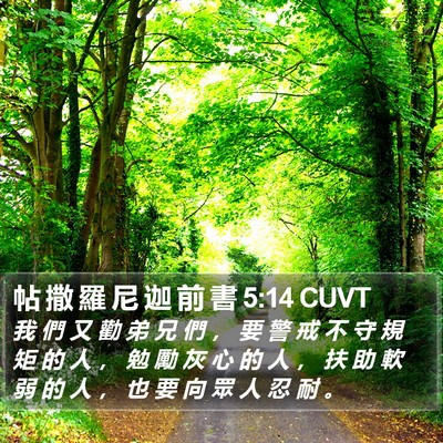 帖 撒 羅 尼 迦 前 書 5:14 CUVT Bible Verse Image