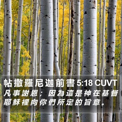 帖 撒 羅 尼 迦 前 書 5:18 CUVT Bible Verse Image