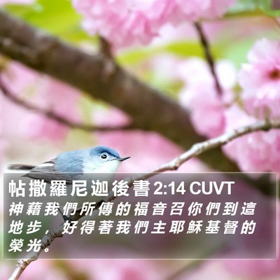 帖 撒 羅 尼 迦 後 書 2:14 CUVT Bible Verse Image