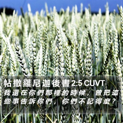 帖 撒 羅 尼 迦 後 書 2:5 CUVT Bible Verse Image
