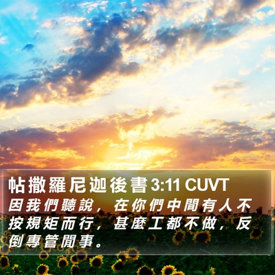 帖 撒 羅 尼 迦 後 書 3:11 CUVT Bible Verse Image