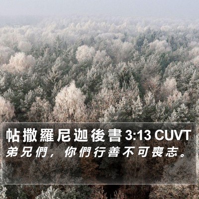 帖 撒 羅 尼 迦 後 書 3:13 CUVT Bible Verse Image