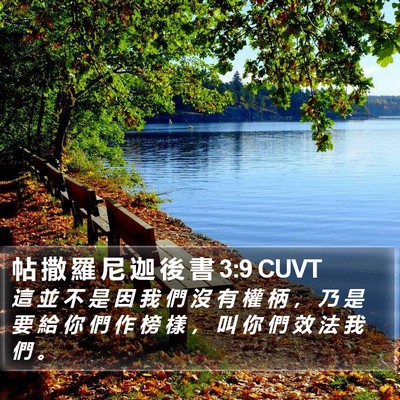 帖 撒 羅 尼 迦 後 書 3:9 CUVT Bible Verse Image