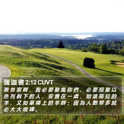 彌 迦 書 2:12 CUVT Bible Verse Image