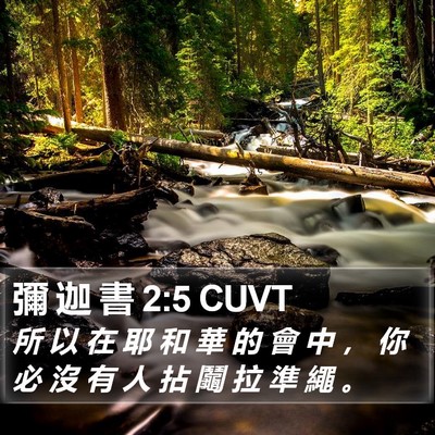 彌 迦 書 2:5 CUVT Bible Verse Image