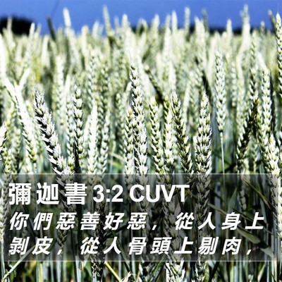 彌 迦 書 3:2 CUVT Bible Verse Image