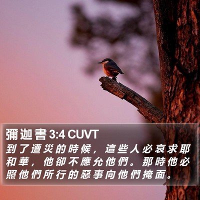 彌 迦 書 3:4 CUVT Bible Verse Image