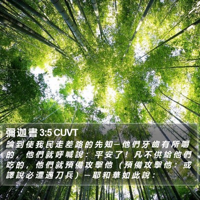 彌 迦 書 3:5 CUVT Bible Verse Image