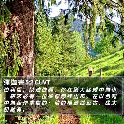 彌 迦 書 5:2 CUVT Bible Verse Image