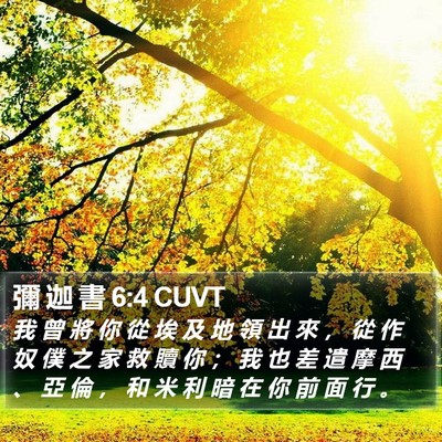 彌 迦 書 6:4 CUVT Bible Verse Image