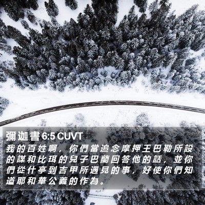彌 迦 書 6:5 CUVT Bible Verse Image
