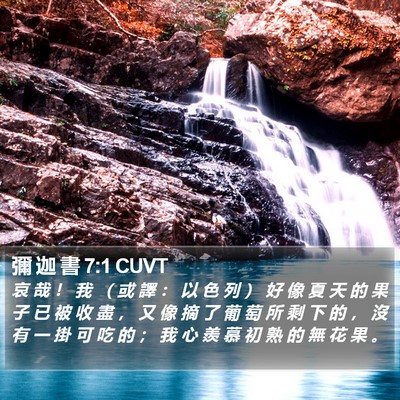 彌 迦 書 7:1 CUVT Bible Verse Image
