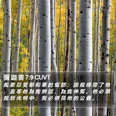 彌 迦 書 7:9 CUVT Bible Verse Image