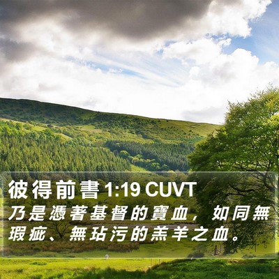 彼 得 前 書 1:19 CUVT Bible Verse Image