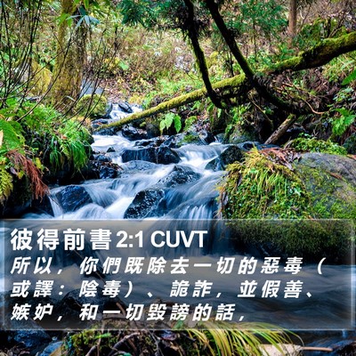 彼 得 前 書 2:1 CUVT Bible Verse Image