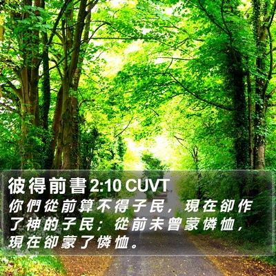 彼 得 前 書 2:10 CUVT Bible Verse Image