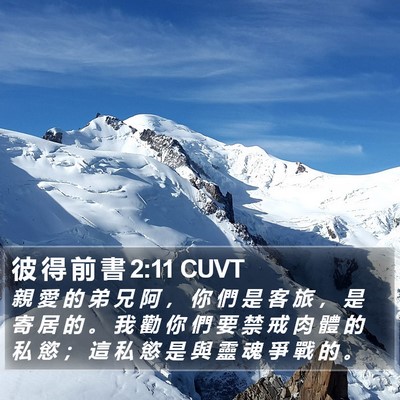 彼 得 前 書 2:11 CUVT Bible Verse Image