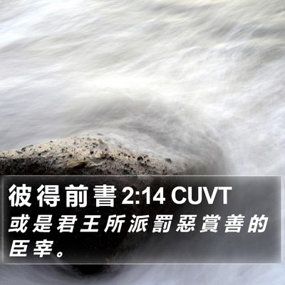 彼 得 前 書 2:14 CUVT Bible Verse Image