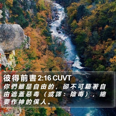 彼 得 前 書 2:16 CUVT Bible Verse Image