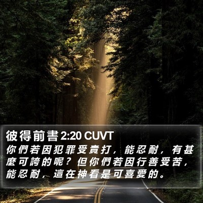 彼 得 前 書 2:20 CUVT Bible Verse Image