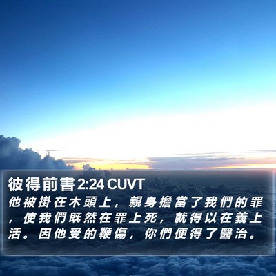彼 得 前 書 2:24 CUVT Bible Verse Image