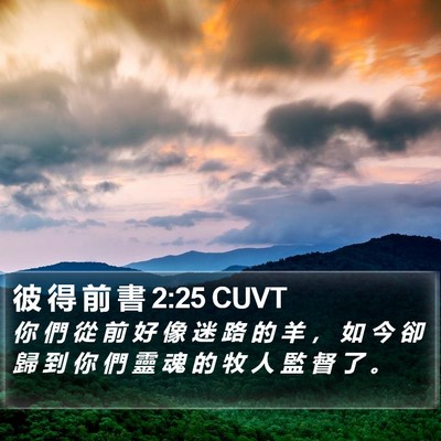 彼 得 前 書 2:25 CUVT Bible Verse Image