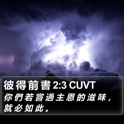 彼 得 前 書 2:3 CUVT Bible Verse Image