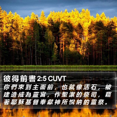 彼 得 前 書 2:5 CUVT Bible Verse Image