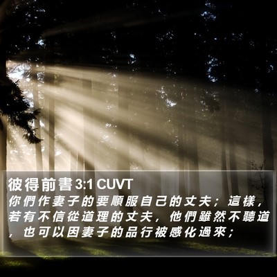 彼 得 前 書 3:1 CUVT Bible Verse Image