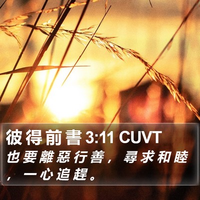 彼 得 前 書 3:11 CUVT Bible Verse Image