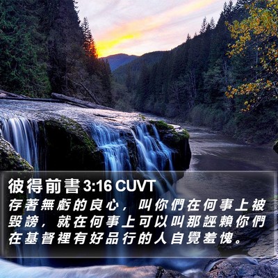 彼 得 前 書 3:16 CUVT Bible Verse Image