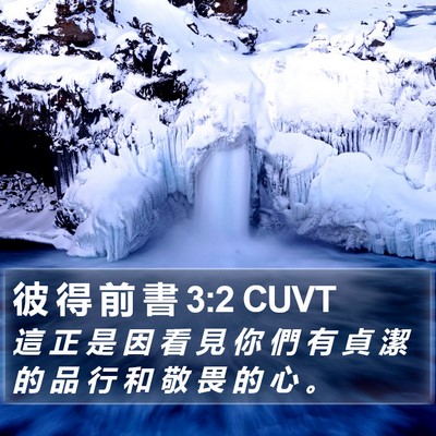 彼 得 前 書 3:2 CUVT Bible Verse Image