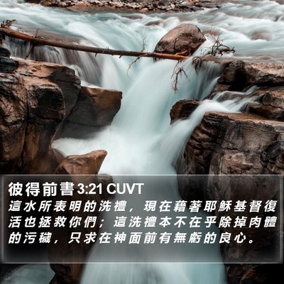 彼 得 前 書 3:21 CUVT Bible Verse Image