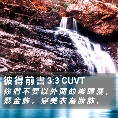 彼 得 前 書 3:3 CUVT Bible Verse Image