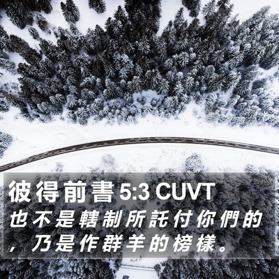 彼 得 前 書 5:3 CUVT Bible Verse Image