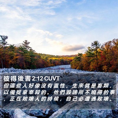彼 得 後 書 2:12 CUVT Bible Verse Image