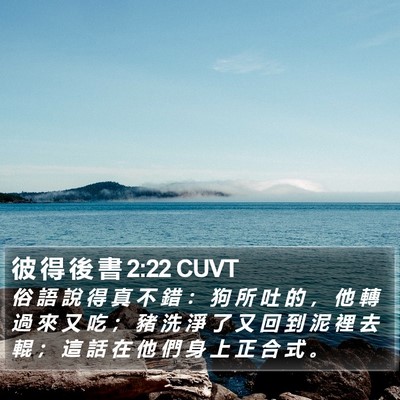 彼 得 後 書 2:22 CUVT Bible Verse Image