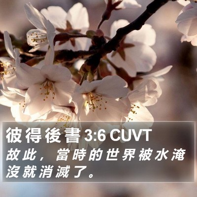 彼 得 後 書 3:6 CUVT Bible Verse Image