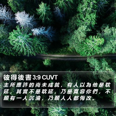 彼 得 後 書 3:9 CUVT Bible Verse Image