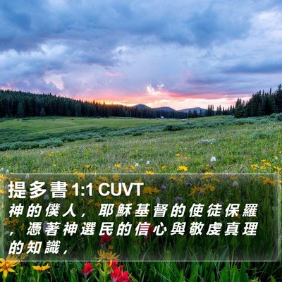 提 多 書 1:1 CUVT Bible Verse Image