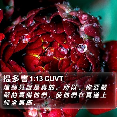 提 多 書 1:13 CUVT Bible Verse Image