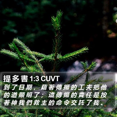 提 多 書 1:3 CUVT Bible Verse Image