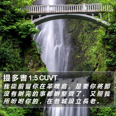 提 多 書 1:5 CUVT Bible Verse Image