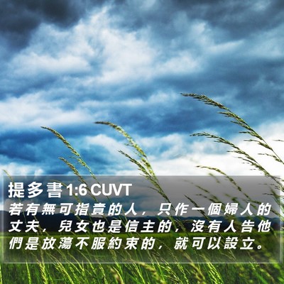 提 多 書 1:6 CUVT Bible Verse Image